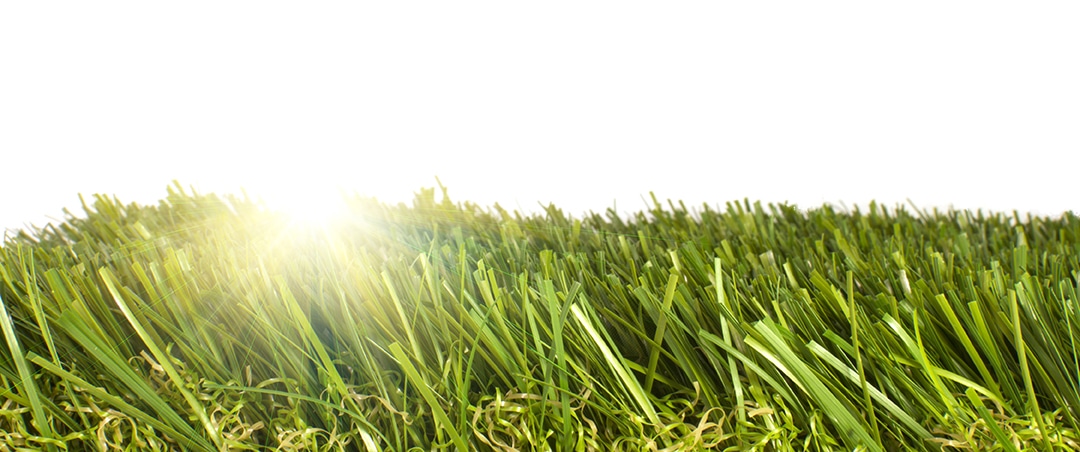 Tips for Maintaining Your Artificial Grass in All Seasons