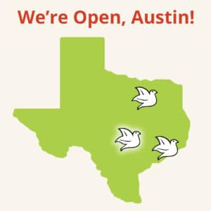 artificial grass in austin