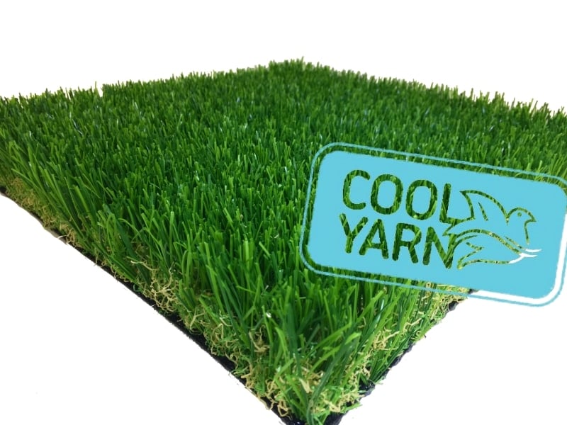 Introducing the Arizona Grass Family