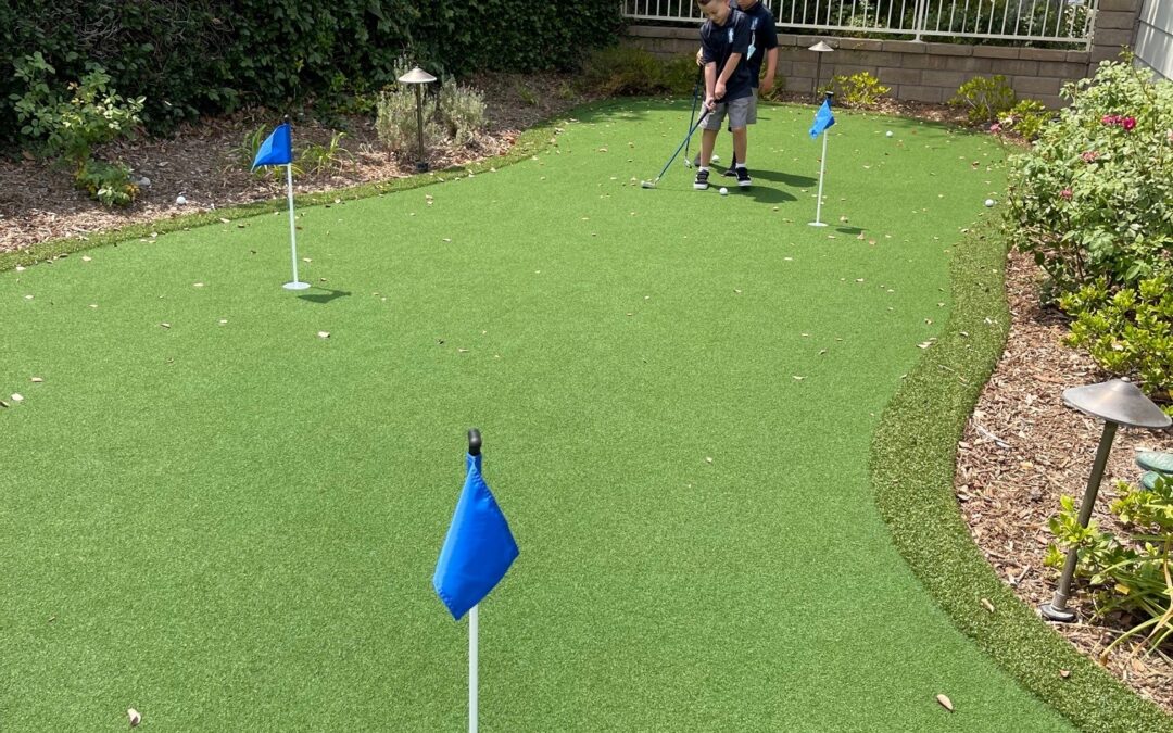 Dark Olive Putting Green & Playground Pro