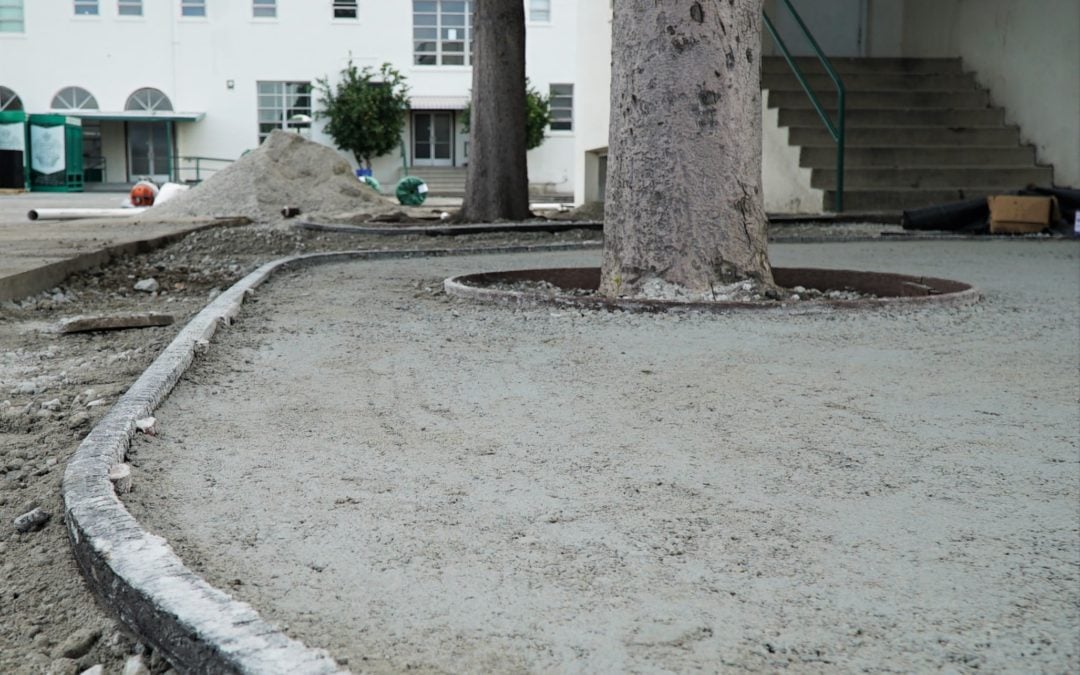 Artificial Grass Installation Methods: Basic vs. Premium