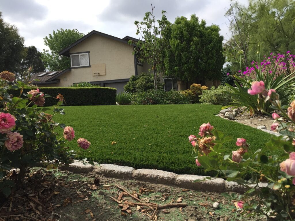 garden landscape design