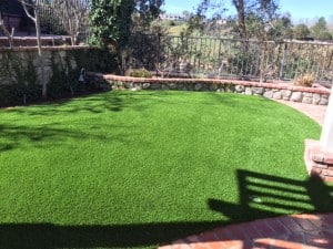 One of the first installations of our gorgeous, new Spring Fescue!