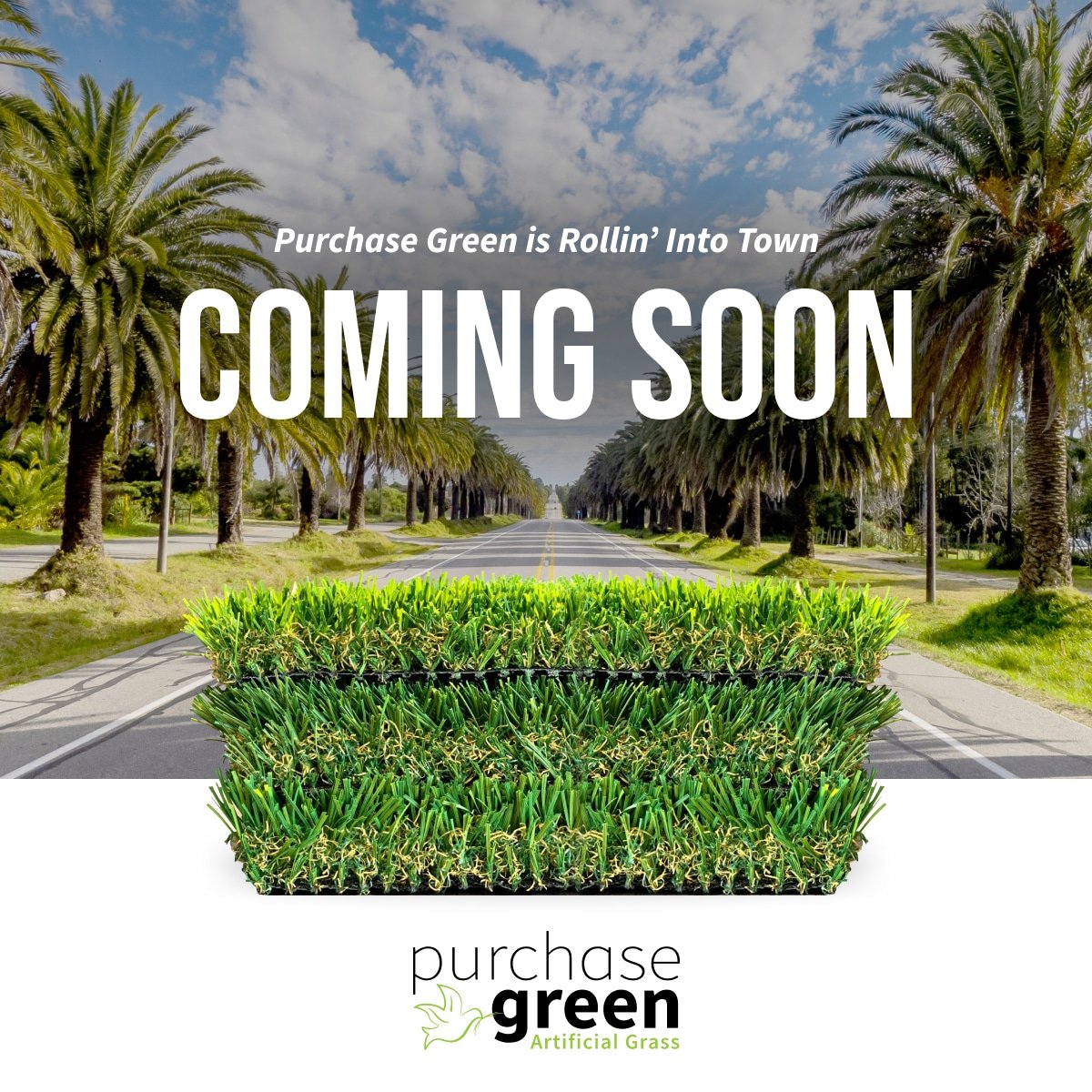 delray beach artificial grass