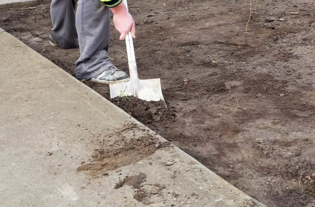 DIY Artificial Grass Tools: What Do I Need?