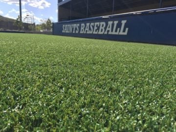 artificial turf for dogs