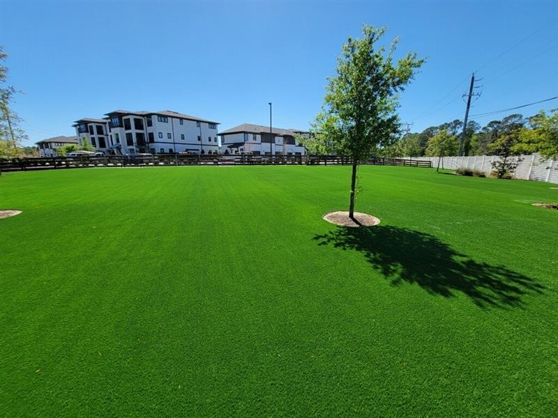 Southwestern Sod Sport