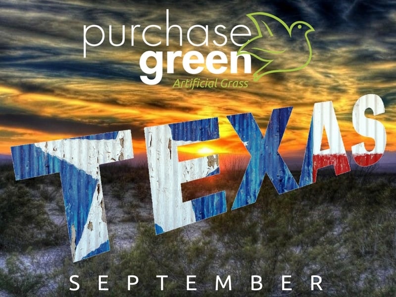 We’re Going to the Big D!