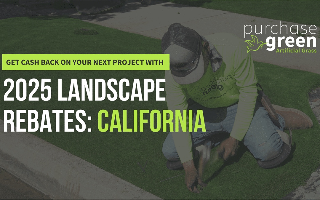 Save with Local Landscape Rebates – Modesto, CA