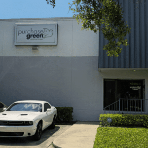 artificial grass tampa