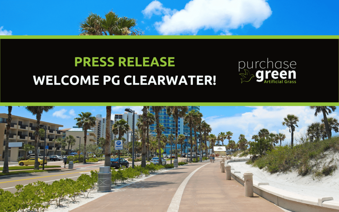 Purchase Green Clearwater, Florida: Your Source for Artificial Grass