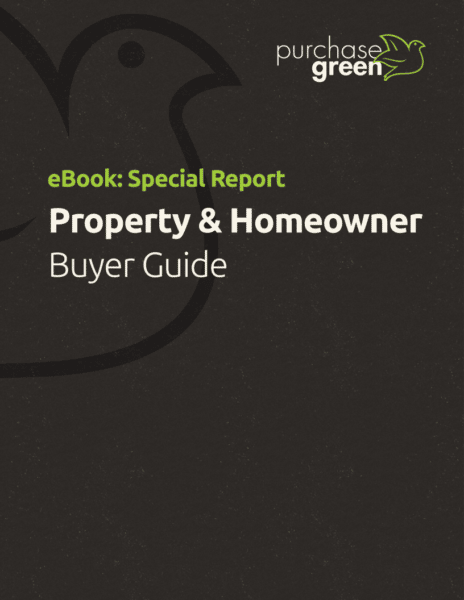 artificial grass maintenance