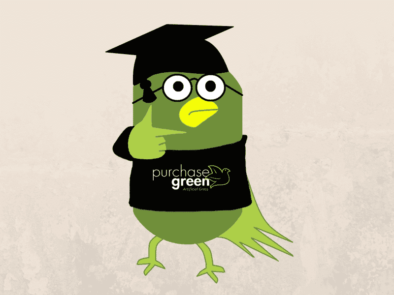 Get Smart with Our Knowledge Base